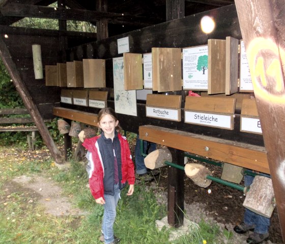 A smiling child stands in front of a forest experience station with various wood samples and information boards outside., © Tourist-Information Bitburger Land