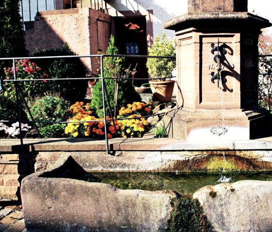 Ein steinerner Brunnen in Dudeldorf mit Wasserbecken, umgeben von bunten Blumen und Pflanzen., © Melanie Lonien