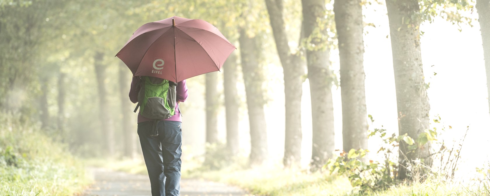 Regenwetter