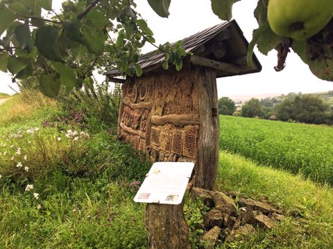 Insektenhotel am Rand eines grünen Feldes mit Infotafel.
