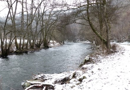 Ein verschneiter Flusslauf mit kahlen Bäumen am Ufer. Der Weg entlang des Flusses ist ebenfalls mit Schnee bedeckt., © Eifelverein Ortsgruppe Speicher
