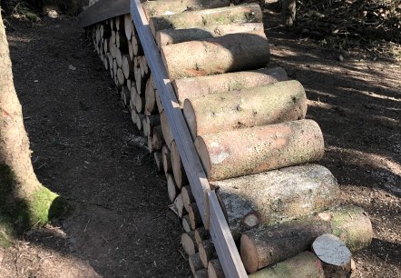 Hundespielplatz Bitburg - Impressionen 2, © Irene Weber