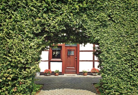 Heggen in de Noord-Eifel