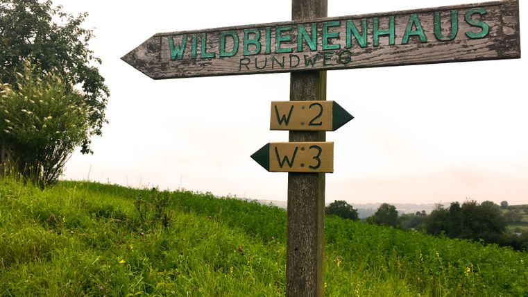 Wegweiser zum Wildbienenhaus auf einem Naturlehrpfad.