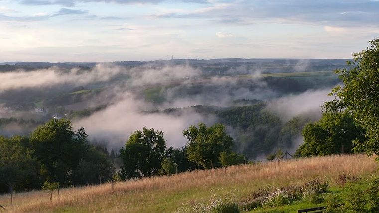 Panoramablick mit Bank, Nebel über grüner Landschaft.