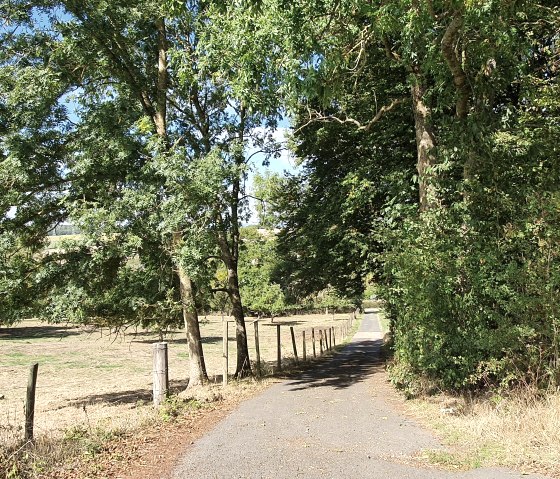 Een smal pad leidt door een groen landschap van bomen en weiden onder een blauwe hemel., &copy; TI Bitburger Land - Steffi Wagner