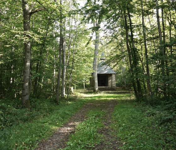 Eine kleine Kapelle steht am Ende eines Waldpfades, umgeben von hohen Bäumen und grünem Laub., © Berscheid