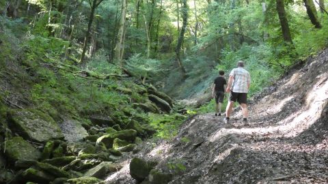 Zwei Personen gehen auf einem Wanderweg durch einen grünen Wald. Die Umgebung ist von Bäumen und moosbedeckten Steinen geprägt.