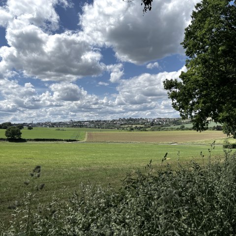 Weite grüne Felder unter einem bewölkten Himmel, im Vordergrund Bäume und Gräser, im Hintergrund eine Stadtansicht., © TI Bitburger Land