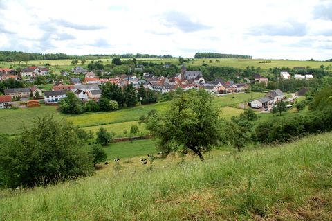 Landschaftsansicht von Gransdorf mit Wiesen, Bäumen und Dorf im Hintergrund.