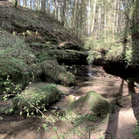A small waterfall in the forest, surrounded by moss and trees, with sunlight streaming through the leaves., © B. Milbach