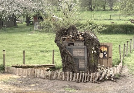 Insektenhotel