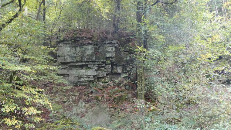 Felsformation im Wald mit umgebender Vegetation.