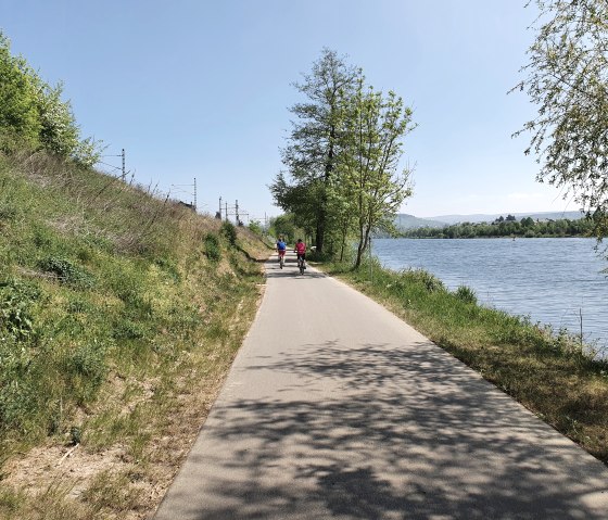 Twee fietsers rijden langs een rivier op een geasfalteerd pad. De zon schijnt, bomen en struiken omzomen het pad., © Tourist-Information Bitburger Land, Steffi Wagner