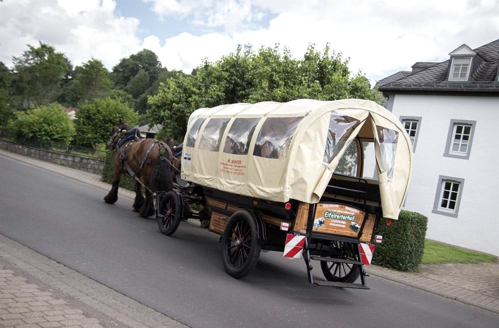 Planwagen, &copy; Winter - Eifelreiterhof