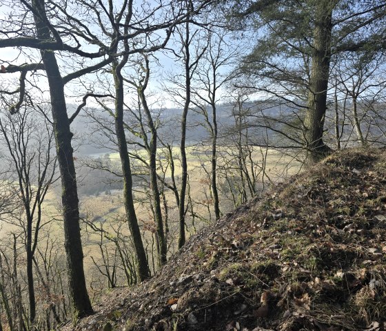 20260118_115645_resized, &copy; Tourist-Information Islek