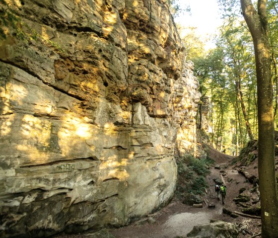 Steile kliffen van rode zandsteen in de Duivelskloof, Felsenweg 6, © Eifel Tourismus GmbH, D. Ketz