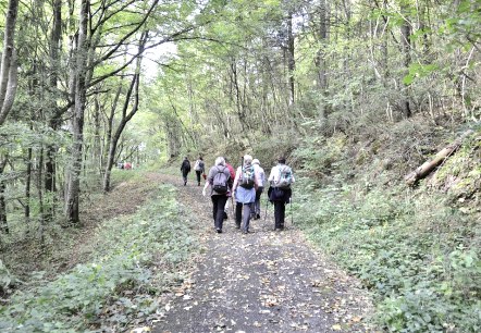 Hiker, © TI Bitburger Land