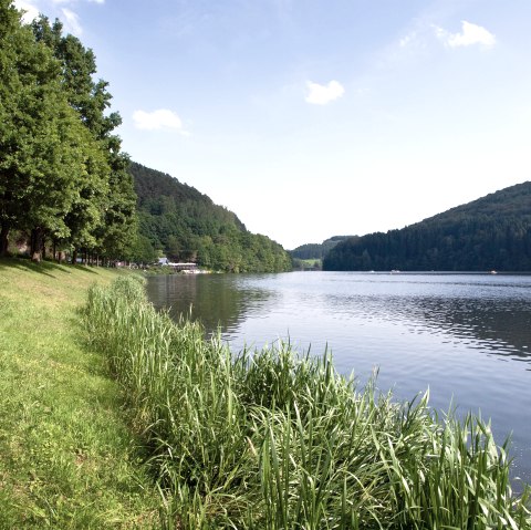 Stausee Ufer, © Tourist-Information Bitburger Land