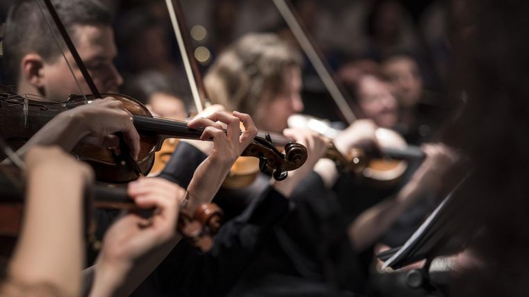 Violinist at a concert