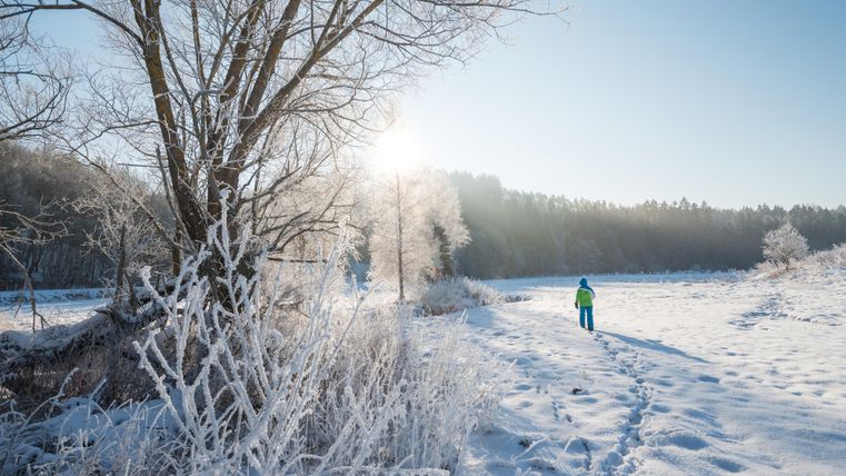 Un paysage enneigé avec des arbres givrés et un ciel clair. Au premier plan, une personne en vêtements chauds marche le long d'un chemin.
