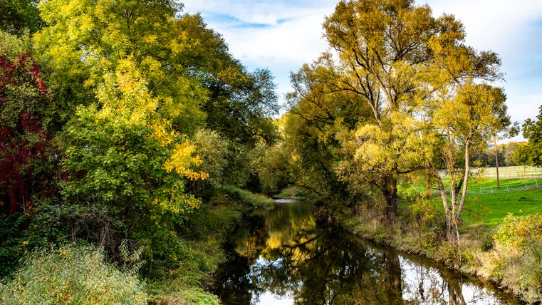 Ein Fluss fließt durch eine herbstliche Landschaft mit Bäumen in verschiedenen Grüntönen und gelben Blättern.