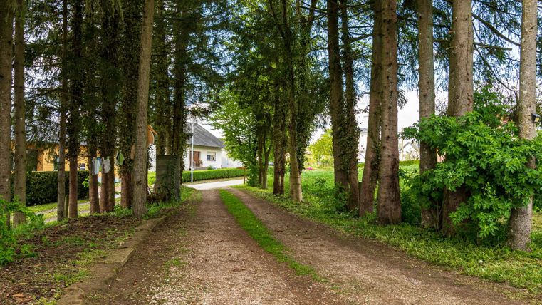 Ein kiesiger Weg führt durch hohe Bäume zu einem Haus. Die Umgebung ist grün und friedlich.