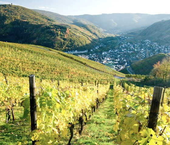 Vineyard in the Ahr valley, &copy; Dominik Ketz / Rheinland-Pfalz Tourismus GmbH