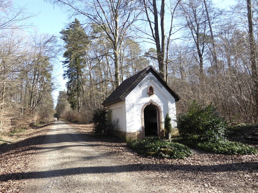 Een kleine kapel staat aan de rand van het bos naast een grindpad. In de omgeving staan bomen met bladeren op de grond., &copy; Eifelverein Ortsgruppe Speicher