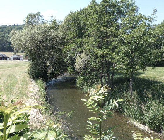 Waterloop langs de kant van de weg, © TI Bitburger Land