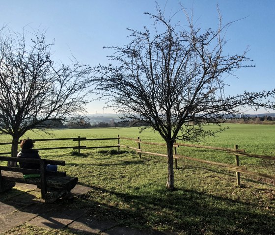 Eine Person sitzt auf einer Bank unter zwei kahlen Bäumen, blickt über eine grüne Wiese. Der Himmel ist klar und blau., © TI Bitburger Land - Steffi Wagner