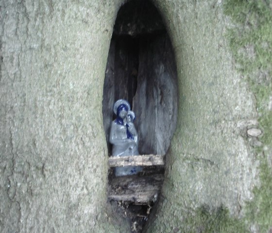 Une petite statue de la Vierge Marie se trouve dans le creux d'un arbre, entourée de mousse et de bois. La statue est bleue et blanche et semble protégée dans l'arbre., © Conny Meier