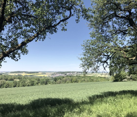 Bitburger veld- en weidetocht, © Tourist-Information Bitburger Land