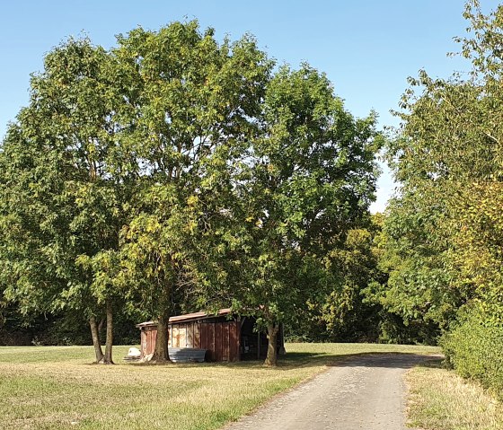 Petite grange sous des arbres dans une prairie, à côté d'un chemin. Ciel bleu et végétation verte., © TI Bitburger Land - Steffi Wagner
