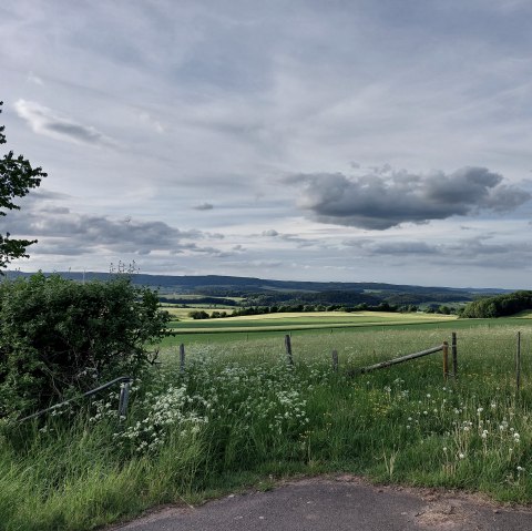 View of the eastern limestone hollow Büdesheim, © Tourist-Information Prümer Land Elke Dahm