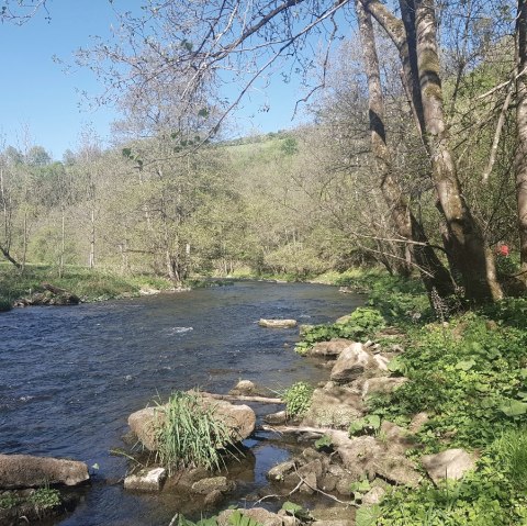 Ein Fluss fließt durch eine grüne Landschaft mit Bäumen. Zwei Radfahrer sind am rechten Ufer zu sehen. Der Himmel ist klar und blau., © TI Bitburger Land_U. Hallet
