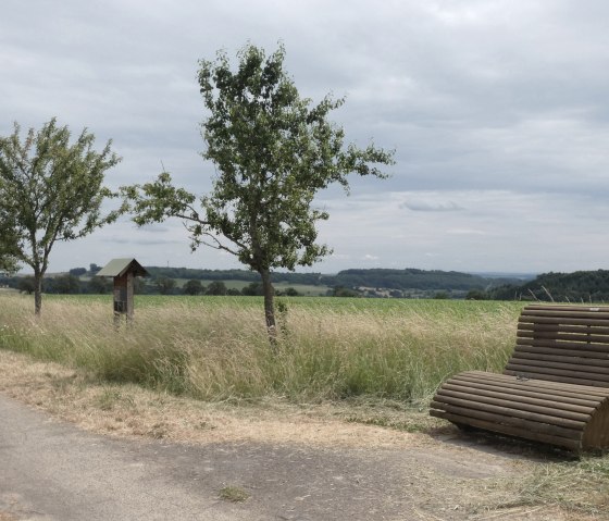 Ein asphaltierter Weg führt an einer Wiese mit Bäumen entlang. Eine Holzbank steht am Wegesrand, im Hintergrund sind Hügel zu sehen., © TI Bitburger Land