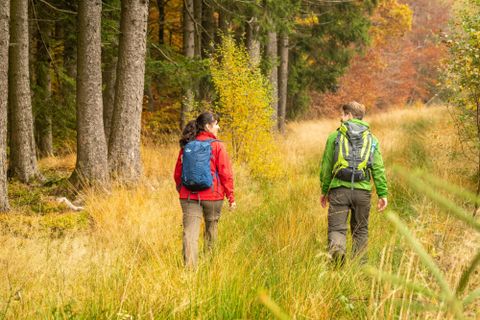Zwei Wanderer gehen auf einem schönen Pfad durch einen herbstlichen Wald. Umgeben von buntem Laub und hohen Bäumen genießen sie die Natur.