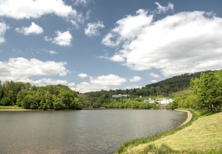 Der Stausee Bitburg mit grünen Hügeln und Gebäuden im Hintergrund, unter einem blauen Himmel mit weißen Wolken., © TI Bitburger Land