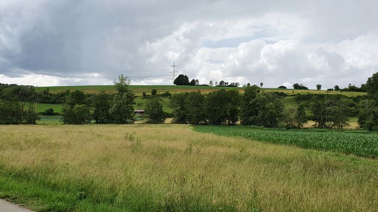 Landschaft im Bitburger Gutland mit Feldern und Bäumen unter bewölktem Himmel.