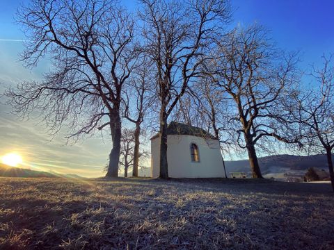 Eine kleine Kapelle umgeben von kahlen Bäumen bei Sonnenaufgang.
