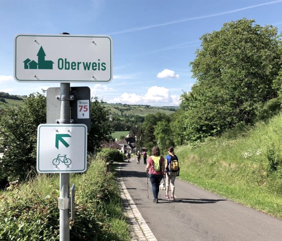 Des randonneurs sur un chemin asphalté à Oberweis, entouré d'un paysage verdoyant. Un panneau indicateur indique l'itinéraire 75., © TI Bitburger Land