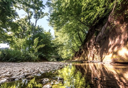 Uitzicht op de rode zandstenen muur Roter Puhl, © Eifel Tourismus GmbH, D. Ketz