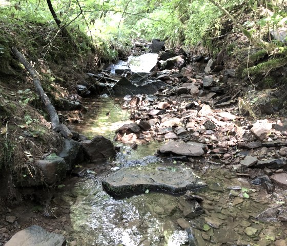 Ein kleiner Bach fließt durch einen Wald mit Steinen und Moos, umgeben von dichtem Grün., © TI Bitburger Land