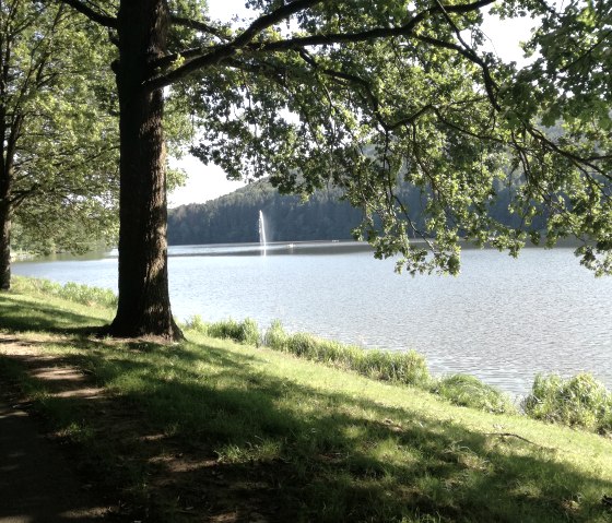 Ein ruhiger See mit Springbrunnen, umgeben von Bäumen und grünem Ufer. Der Himmel ist klar und die Sonne scheint durch die Blätter., © TI Bitburger Land
