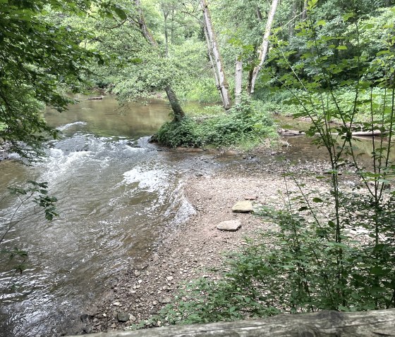 A calm river flows through a dense, green forest. Trees and bushes line the banks, while the water gently ripples over stones., © Daniel Köhler