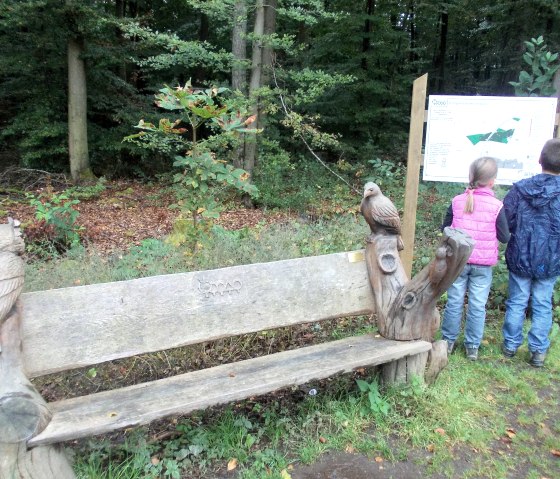 Two children look at an information board in the forest. Next to it is a wooden bench with carved owls. The ground is covered with leaves., © Tourist-Information Bitburger Land