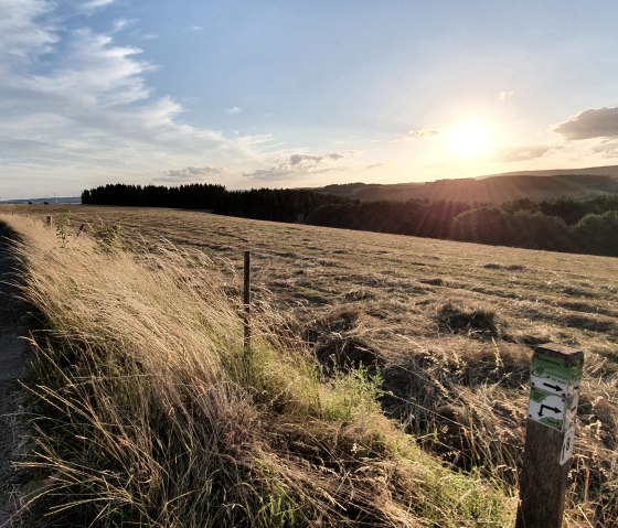 Sentier de randonnée à travers la vallée du Mehlenbach, © Tourist-Information Prümer Land Sebastian Wiesen
