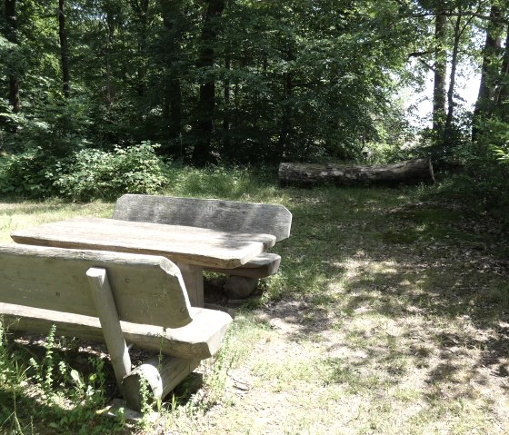 Aire de repos &agrave; la lisi&egrave;re de la for&ecirc;t, &copy; TI Bitburger Land