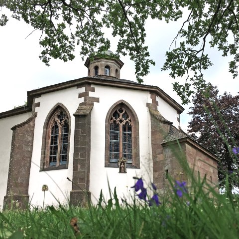 De Frohnertkapel met gotische ramen, omringd door bomen en bloemen op de voorgrond, genomen vanuit een laag perspectief., © TI Bitburger Land